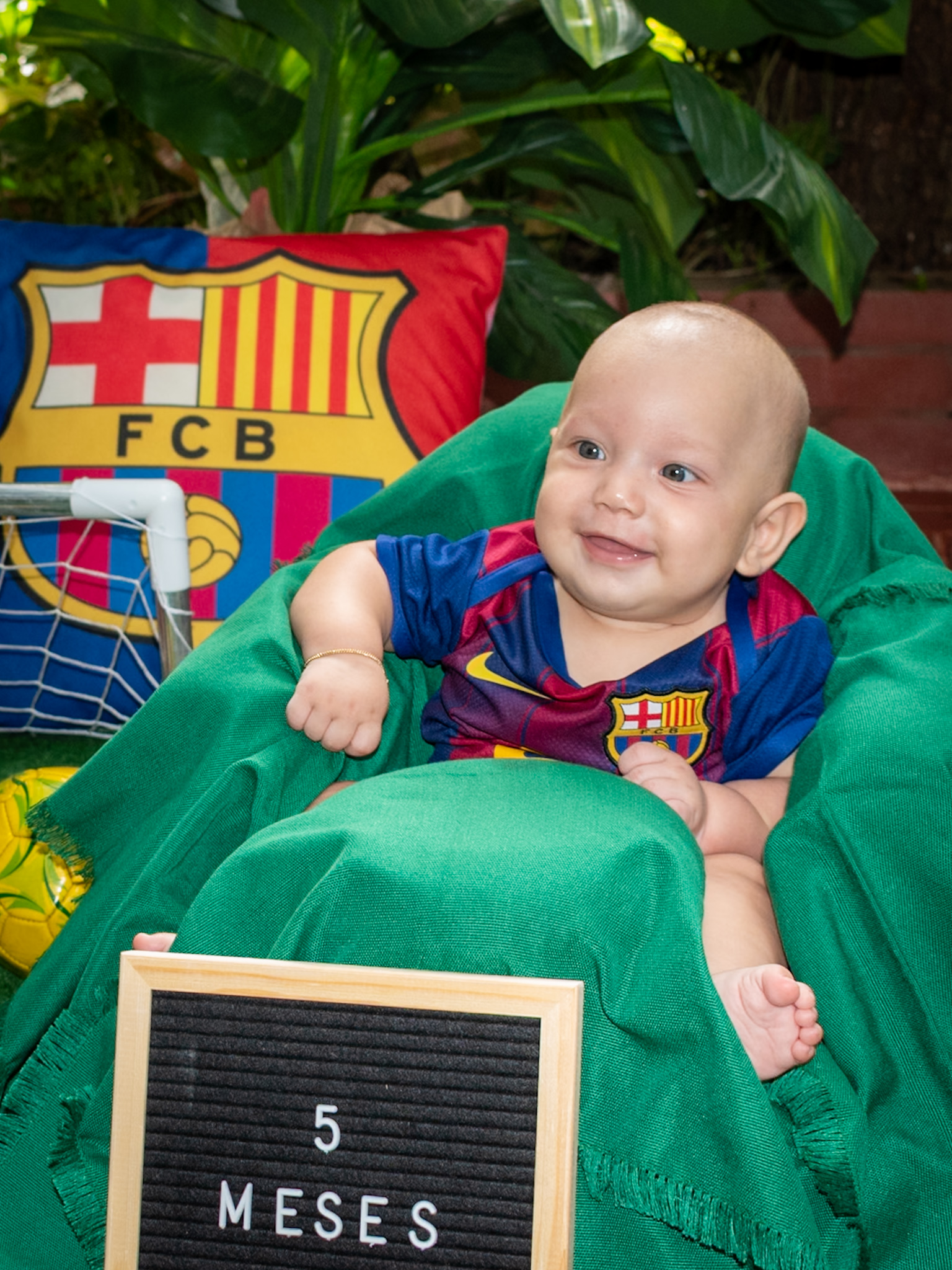 5 MESES